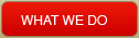 What We Do